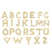 Initial Necklace (2 letters)